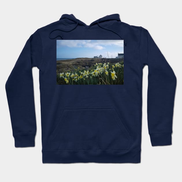 Seaton Sluice Harbour Daffodils Hoodie by Violaman